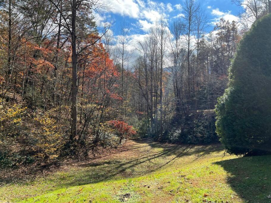 Shiner'S Hollow Villa Gatlinburg Dış mekan fotoğraf